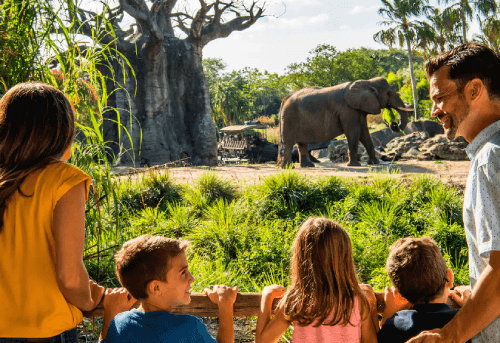 Caring for Giants reservation alert