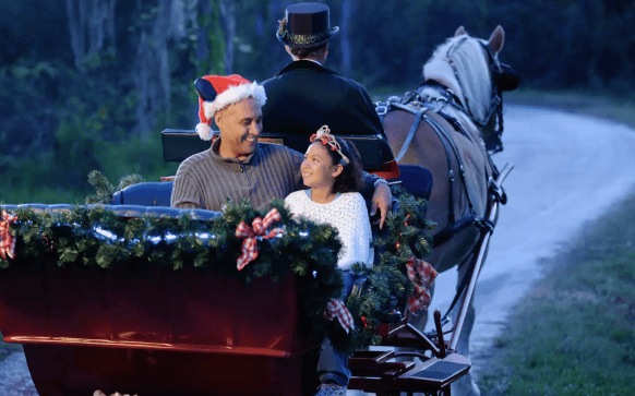 Find Horse Drawn Excursion – Holiday Sleigh Rides reservation