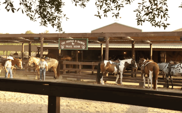 Horseback Riding reservation alert