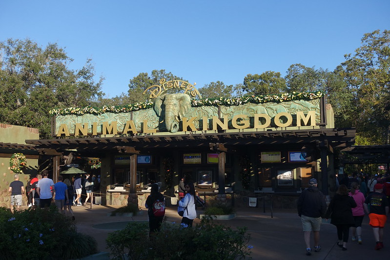 Disney’s Animal Kingdom - #2 in disney parks around the world